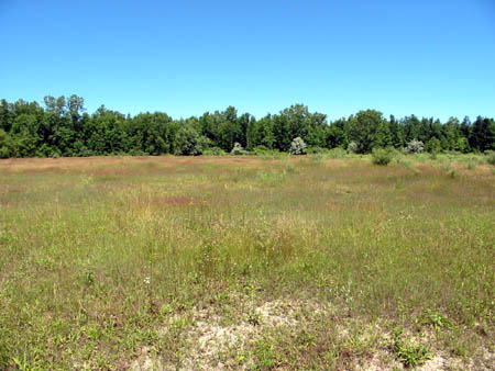 Sunset Drive-In Theatre - Now An Empty Lot - Photo From Water Winter Wonderland